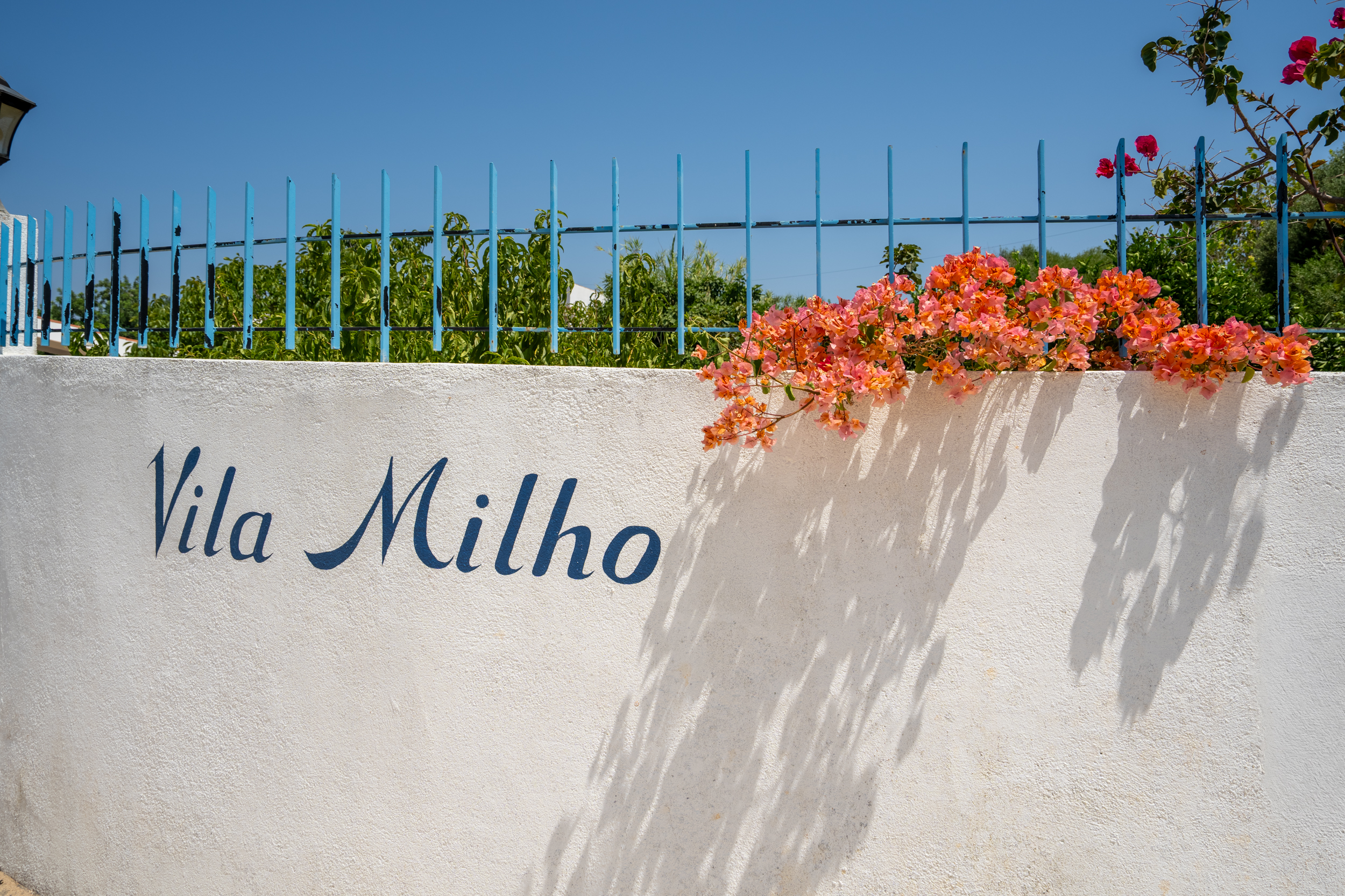 Vila Milho-114